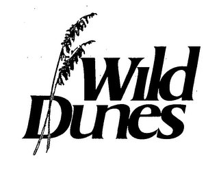 WILD DUNES logo