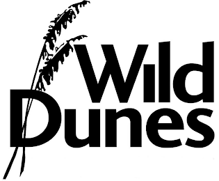WILD DUNES logo