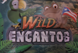 WILD ENCANTOS logo