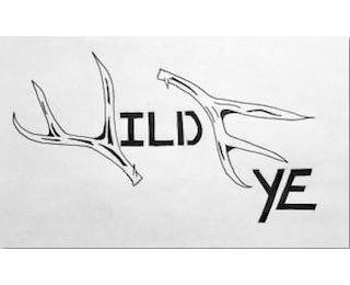 WILD EYE logo