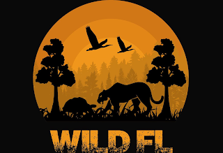 WILD FL logo