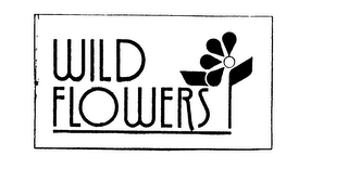 WILD FLOWERS logo