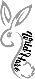 WILD HARE logo