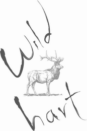 WILD HART logo