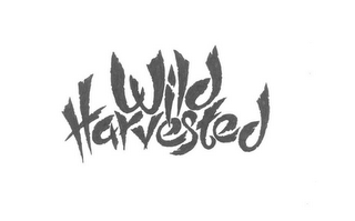 WILD HARVESTED logo