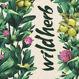 WILD HERB logo