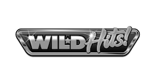 WILD HITS! logo