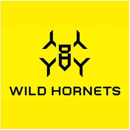 WILD HORNETS logo