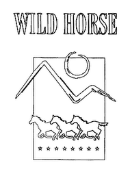 WILD HORSE