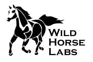 WILD HORSE LABS logo