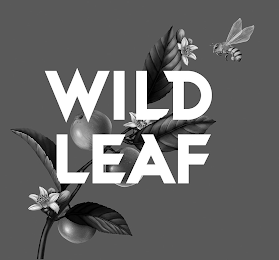 WILD LEAF logo