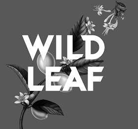 WILD LEAF logo
