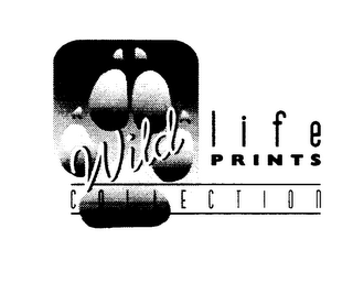 WILD LIFE PRINTS COLLECTION logo