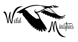 WILD MINISTRIES logo