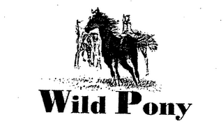 WILD PONY logo