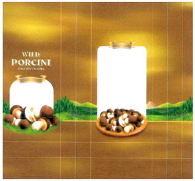 WILD PORCINI MUSHROOMS logo
