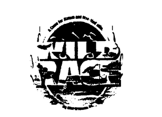 WILD RACE logo