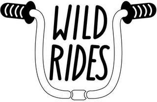 WILD RIDES logo