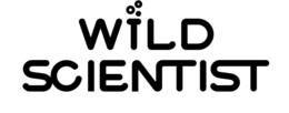 WILD SCIENTIST logo
