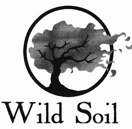 WILD SOIL logo
