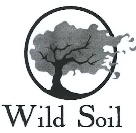 WILD SOIL logo