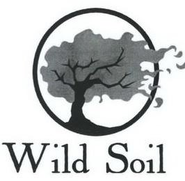 WILD SOIL logo