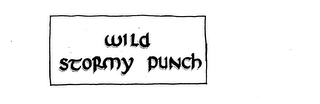 WILD STORMY PUNCH logo