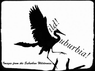 WILD! SUBURBIA! IMAGES FROM THE SUBURBAN WILDERNESS logo