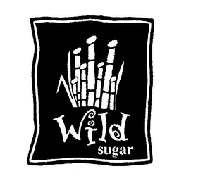 WILD SUGAR logo
