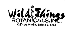 WILD THINGS BOTANICALS, INC. CULINARY HERBS, SPICES & TEAS logo