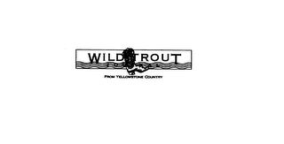 WILD TROUT JOURNAL FROM YELLOWSTONE COUNTRY logo
