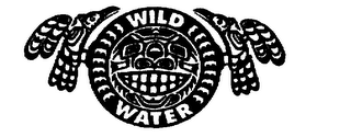 WILD WATER logo
