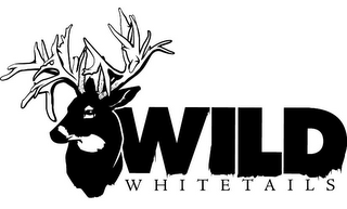 WILD WHITETAILS logo