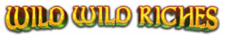 WILD WILD RICHES logo