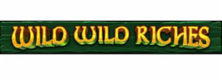 WILD WILD RICHES logo