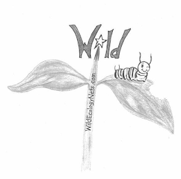 WILD WILDECOLOGYNETS.COM logo