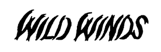 WILD WINDS logo