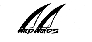 WILD WINDS logo