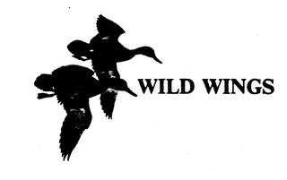 WILD WINGS logo