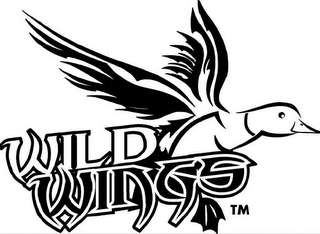 WILD WINGS logo