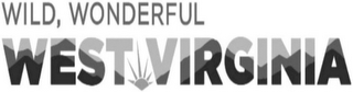 WILD, WONDERFUL WEST VIRGINIA logo