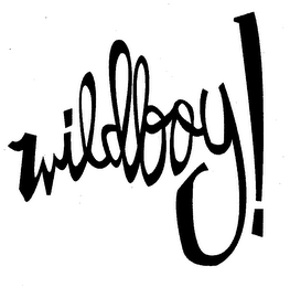 WILDBOY! logo