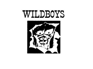 WILDBOYS logo