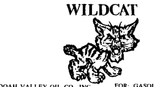 WILDCAT logo