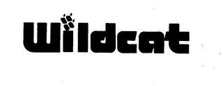 WILDCAT logo