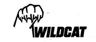 WILDCAT logo