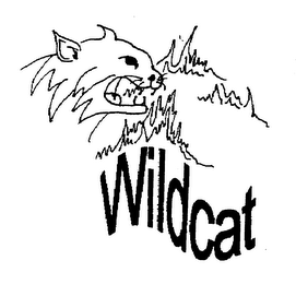 WILDCAT logo