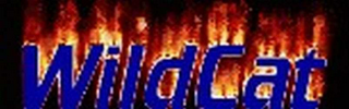WILDCAT logo