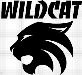 WILDCAT logo