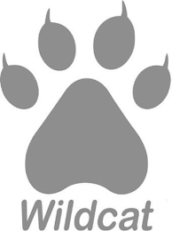 WILDCAT logo